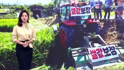 논 갈아엎는 농민들…“급한 불 껐을 뿐”