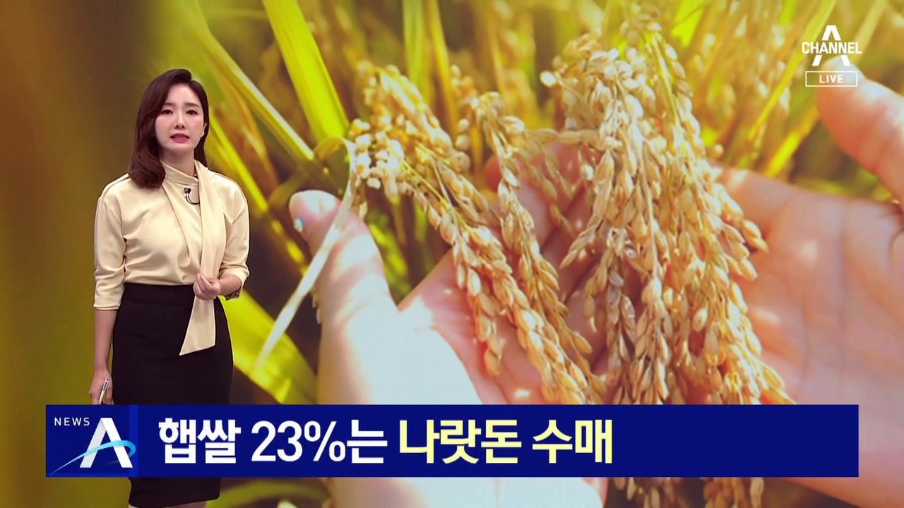 당정, 햅쌀 23%는 나랏돈 수매…가격 안정 위해 최대 규모