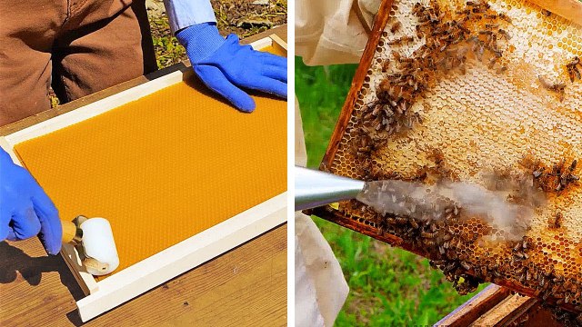 Harvesting Honey Beehive At Backyard __ We Made A House For Bees And Miniature Houses