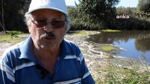 Bakırçay'da facia: Nehir ölü balıklarla kaplandı