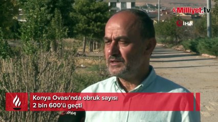 Konya Ovası'nda obruk sayısı 2 bin 600'ü geçti!