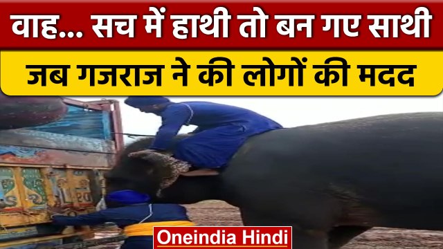 Elephant Pushes Trucks: कीचड़ में फंसा ट्रक तो हाथी ने यूं निकाला, देखिए VIDEO |वनइंडिया हिंदी|*News