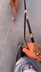 Skateboarding With My Dog