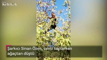 Sinan Özen, ceviz toplarken ağaçtan düştü