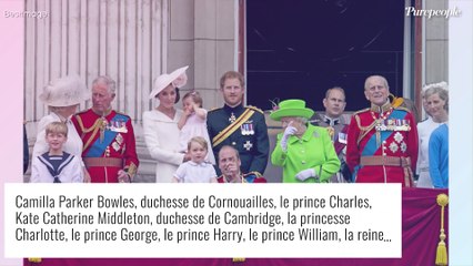 Le prince Harry en panique et désespéré : après en avoir trop dit, il est prêt à tout pour revenir en arrière