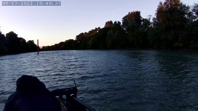 Silure Club Rhodanien : Retour du petit rhone