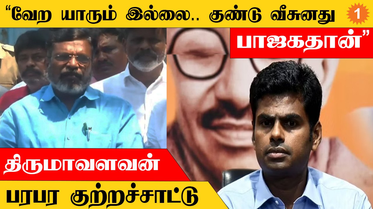 Thirumavalavan | "அவர்களே குண்டுவீசுவார்கள்.. அவர்களே பழி சொல்வார்கள்"