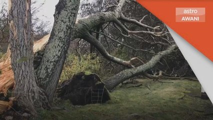 Taufan Fiona | Bantuan keselamatan, kerja pembersihan digerakkan