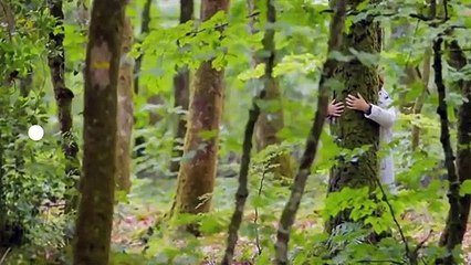 Le temps des arbres - Bande annonce