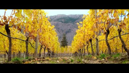 Endless Bande-annonce (RU)