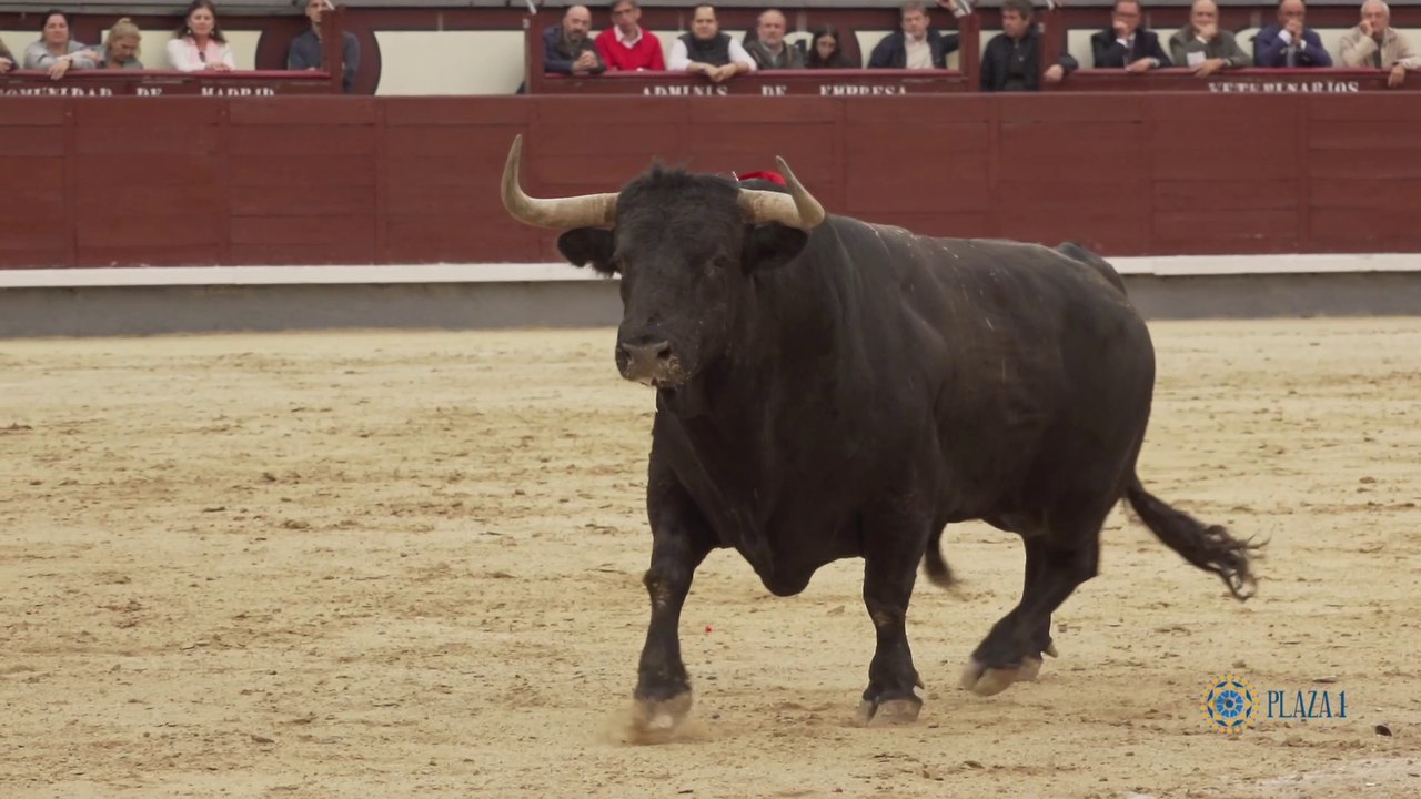 Las Ventas 25 sep 2022