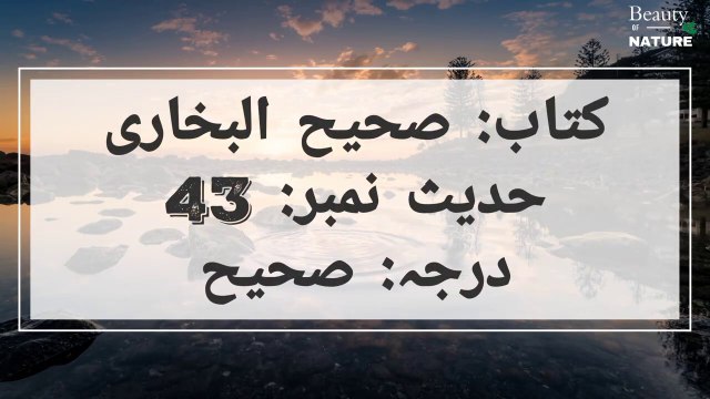 Sahih Bukhari Hadees No.43 _ Hadees Nabvi in Urdu _ Bukhari Hadees _ Bukhari Shareef in Urdu