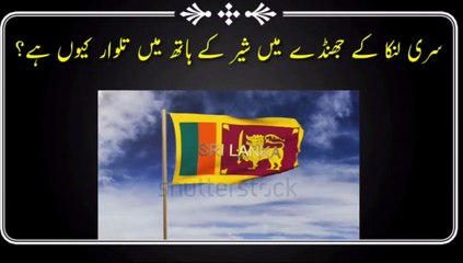 Srilanka Ka Jhanda Ma Sher Ke Hath Mein Talwar Q Hai
