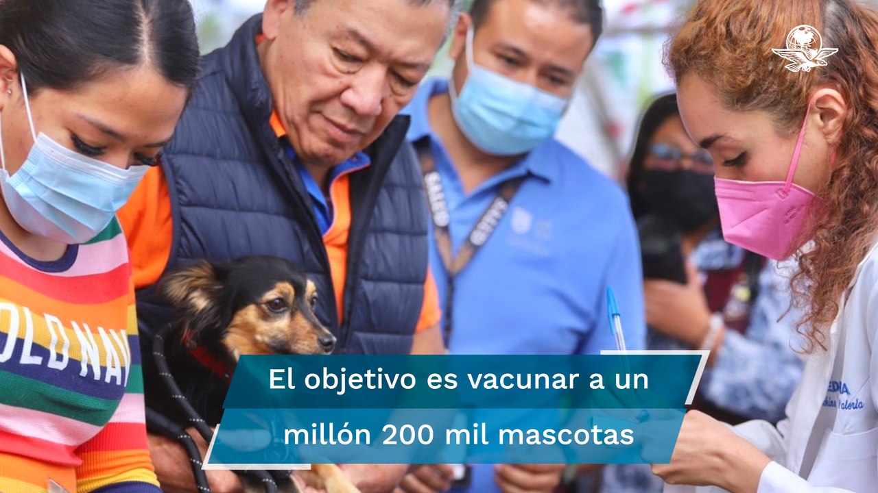 Inicia segunda jornada anual de vacunación masi...