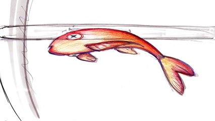 The Invisible Shield