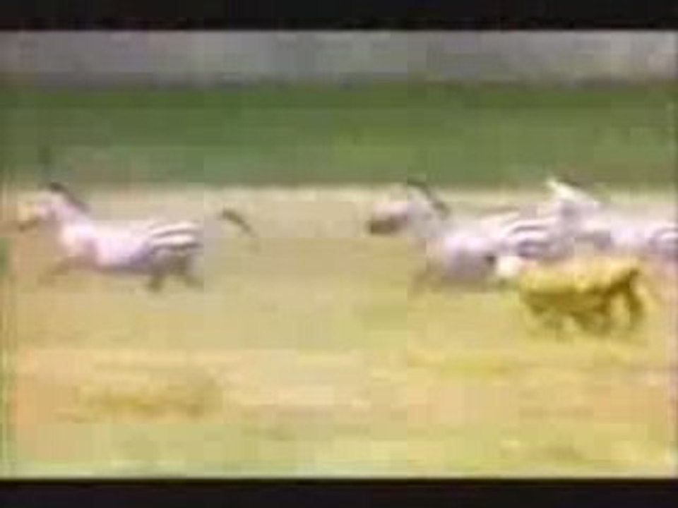 ANNIHILATOR : KING OF THE KILL | clip