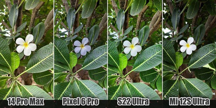iPhone 14 Pro Max vs Pixel 6 Pro _ Samsung S22 Ultra _ Xiaomi 12S Ultra - CAMERA TEST COMPARISON