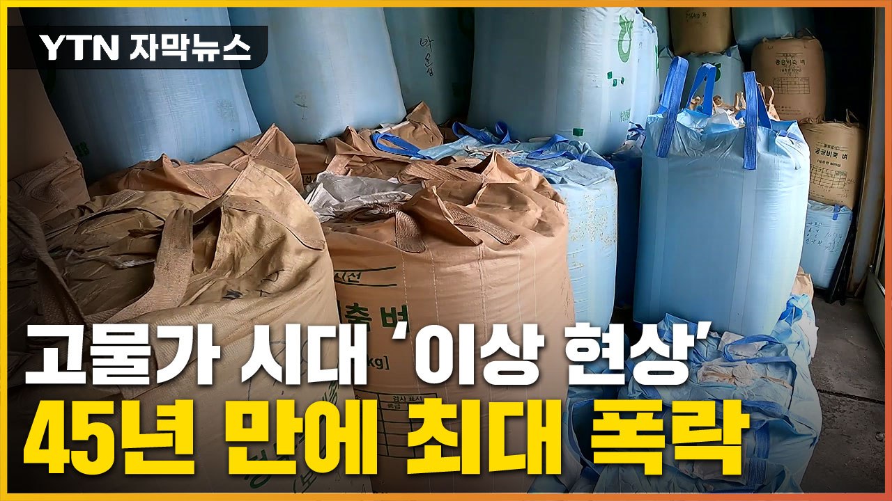 [자막뉴스] 45년 만에 최대 폭락...결국 방어 들어간 정부 / YTN