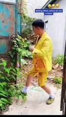 funny videos, top laughing videos, try not to laugh
