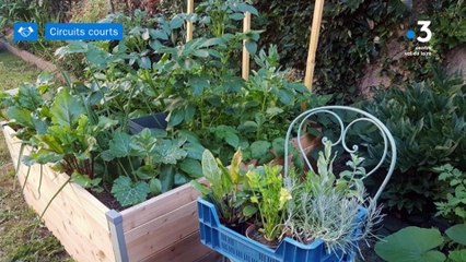 Circuits Courts - La main verte ou pas : Mon Potager chez Moi !