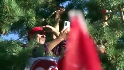 Bahçeli’nin mitinginde boş yer bulamayan vatandaşlar ağaca tırmandı