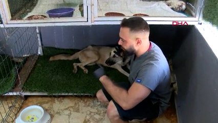 Sokak hayvanlarının tedavisi için ücretsiz klinik açtı