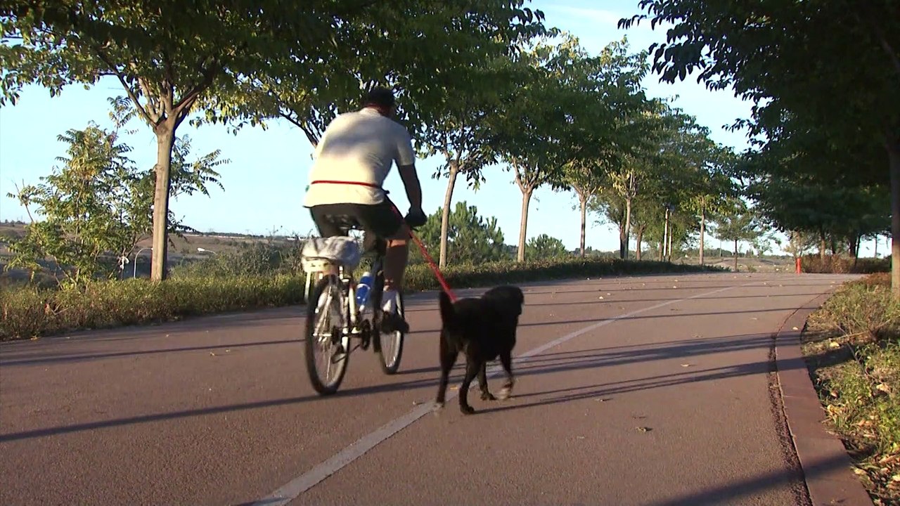 Nueva campaña para concienciar sobre las enfermedades cardiovasculares en el Día Mundial del Corazón