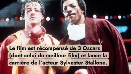 Les films incontournables sur la boxe
