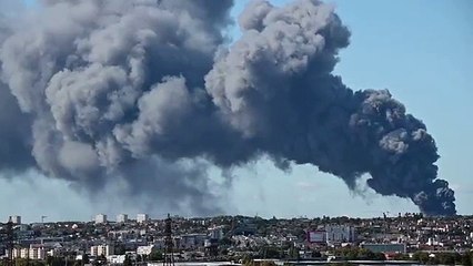 فيديو: لحظة تصاعد الأدخنة بعد حريق أكبر سوق للأطعمة الطازجة في باريس