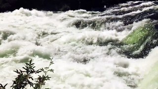 A Rapid Stream Footage