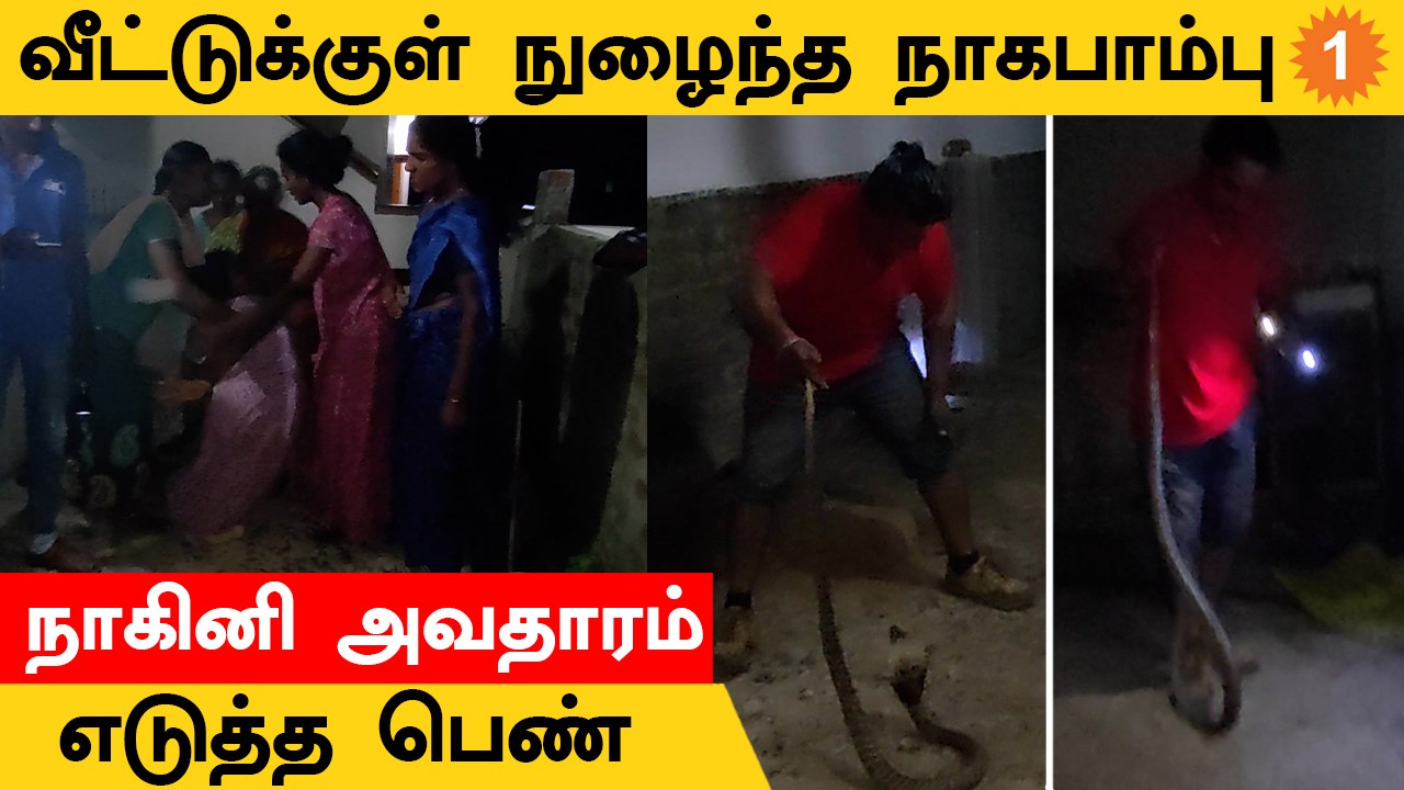 Nagini Arulvakku | நாகம்மாவே வந்து அருள்வாக்கு சொன்னதாக பரவசம்