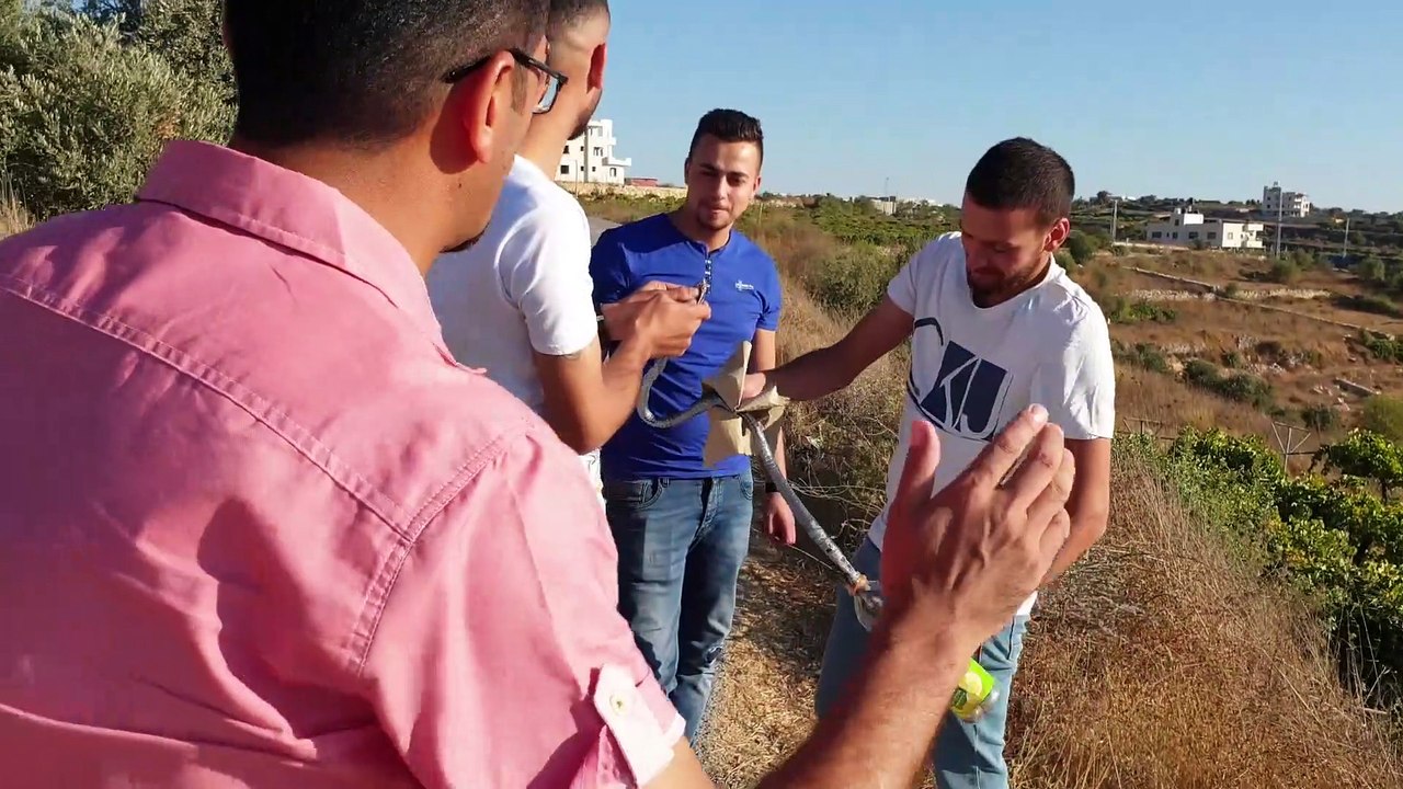 يلا معانا ع فلسطين - قناة مرئية تتجول لتظهر معالم فلسطين المختلفة