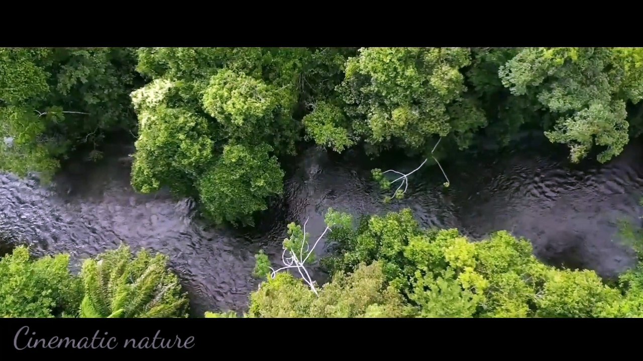 8K Drone nature footage_1080p