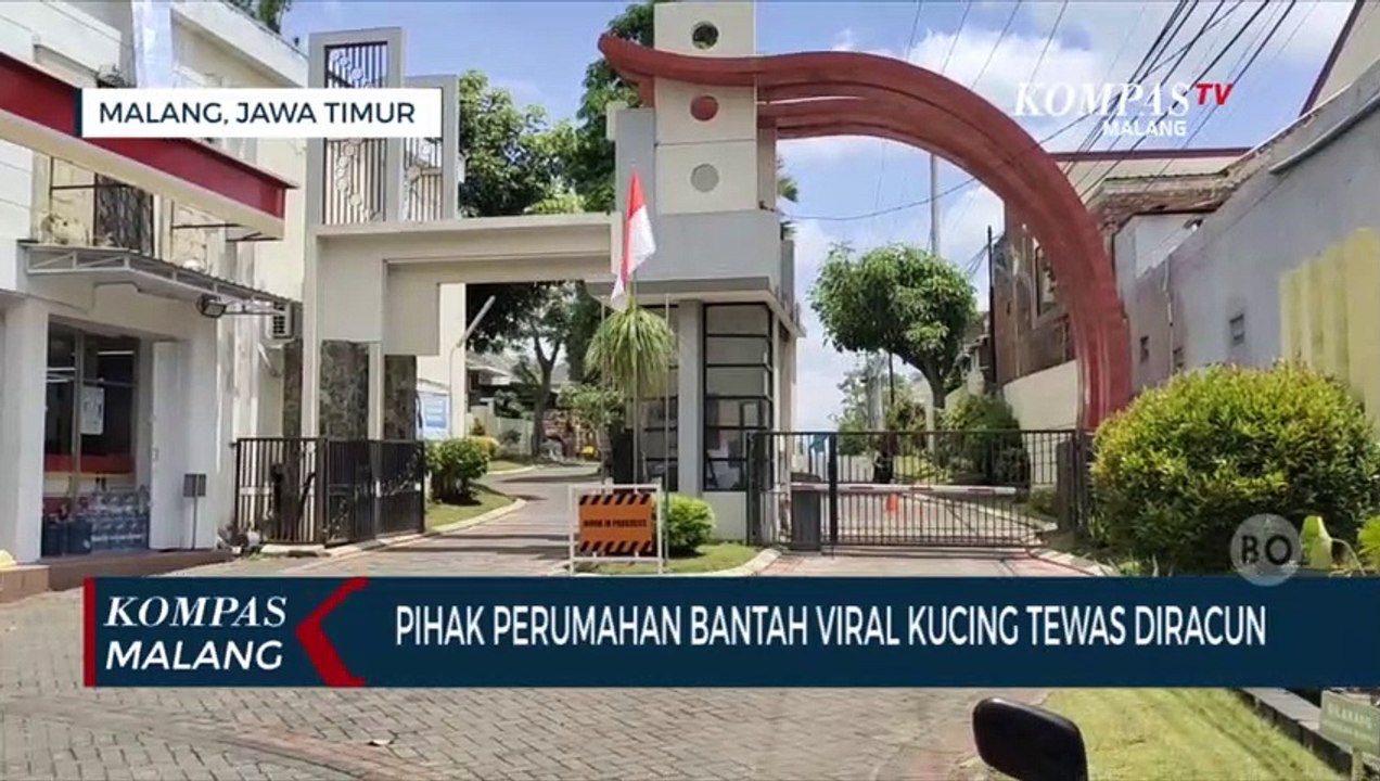 Viral Kucing Tewas Diracun di Perumahan Kota Malang