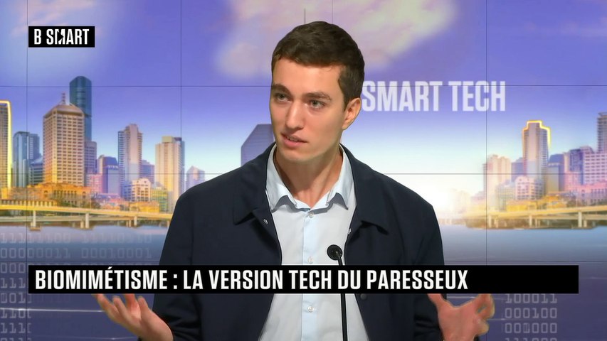 Biomimétisme : la version tech du paresseux