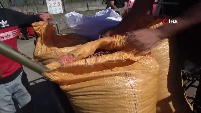 Trabzon haberi! TMO Genel Müdürü Ahmet Güldal, Trabzon'da fındık alım merkezini ziyaret etti Açıklaması