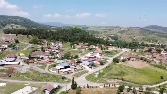 Raf ömrü bir yılı bulan kestane kabağı Türkiye'nin birçok iline gönderiliyor