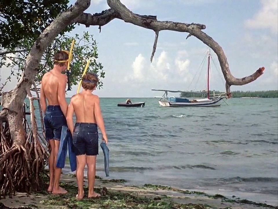 Flipper staffel 1 folge 10 hd deutsch