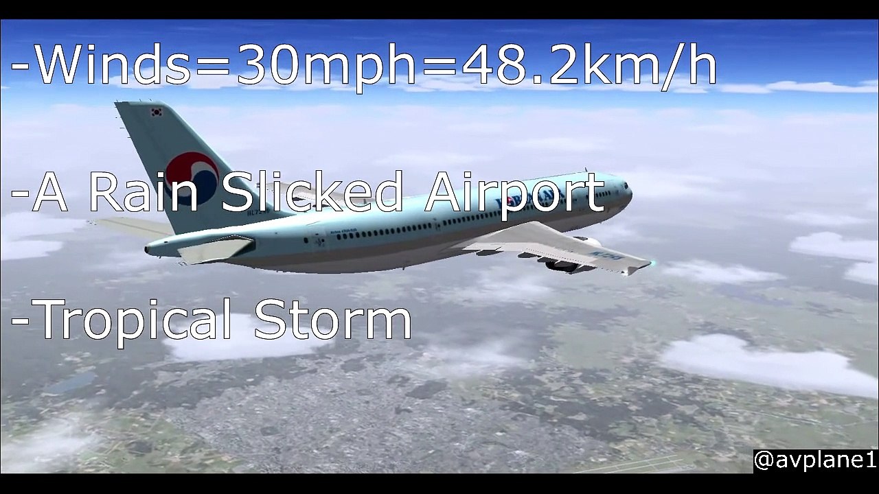 2 Pilots Fought Each Other And This Happened | Korean airline flight 2033