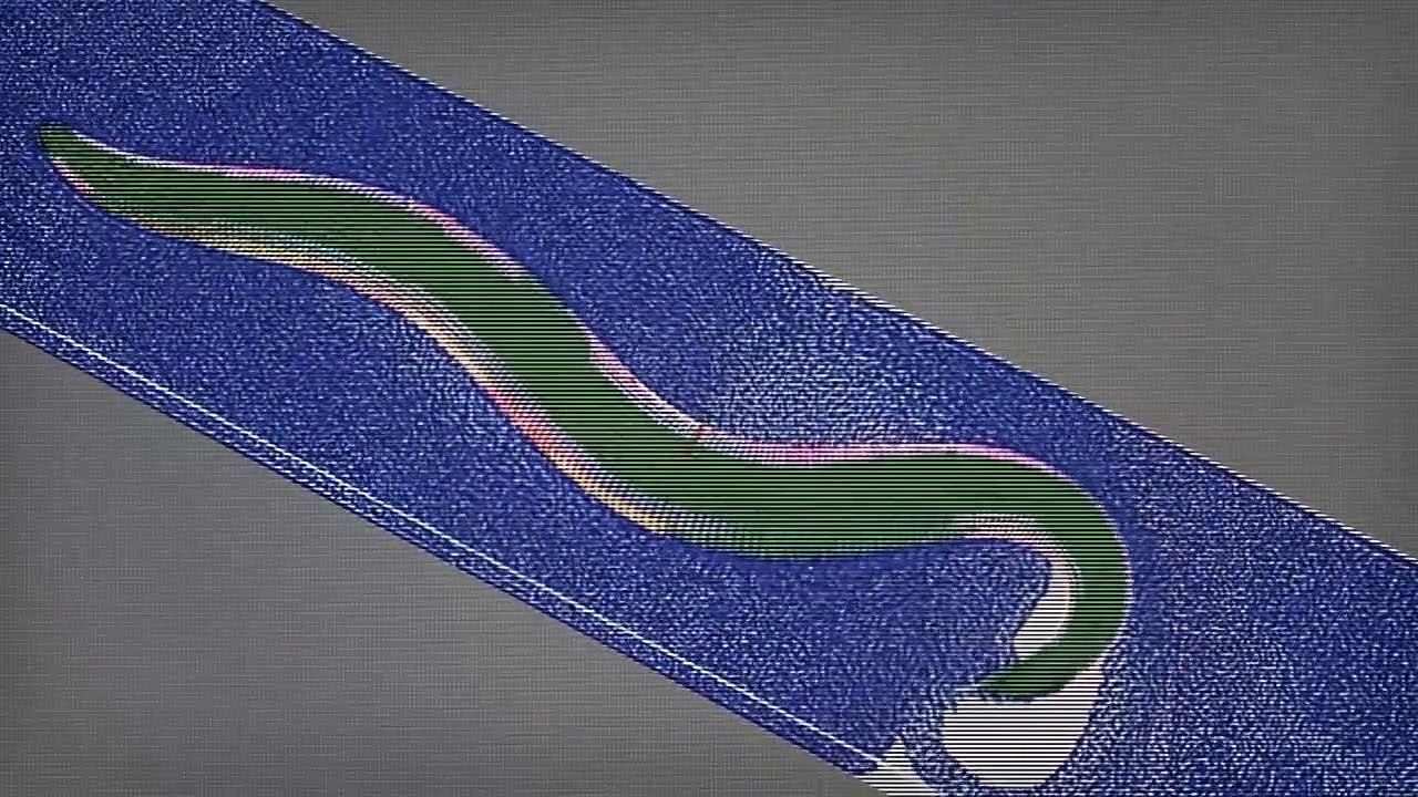 Supersapiens - Der neue Mensch Staffel 1 Folge 2 HD Deutsch