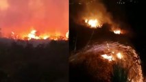 Hutan dan lahan di Taman Nasional Gunung Ciremai terbakar