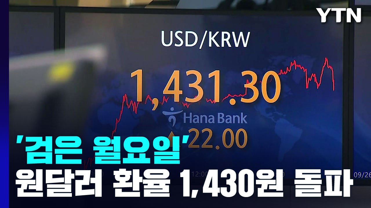'검은 월요일'...환율 1,430 돌파에 코스닥 5% 폭락 / YTN