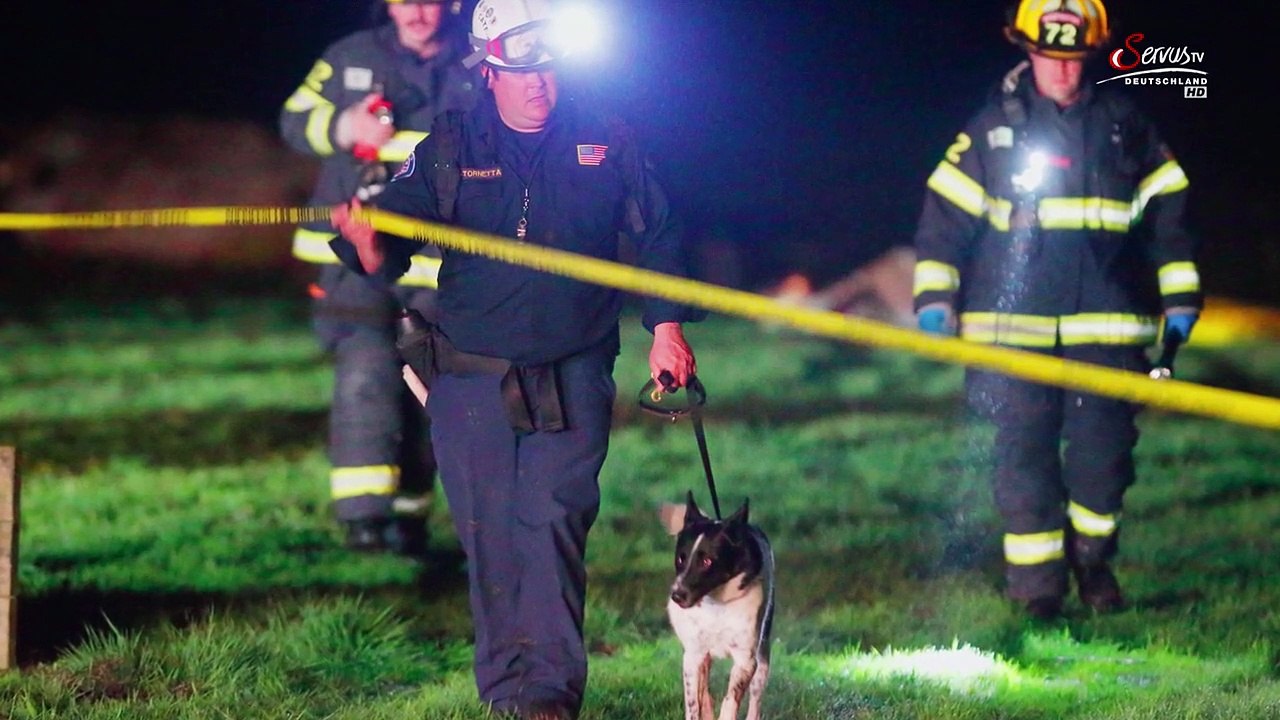 Hunde auf Mission Staffel 1 Folge 1 HD Deutsch