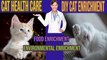 Cat Health Care All important information. Feline DIY Enrichment and Food Enrichment and more