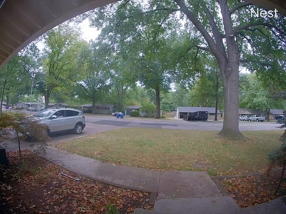 Doorbell Cam Catches Car's Close Call With Falling Tree Limb