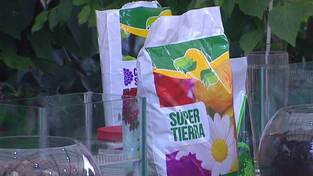 bd-publireportaje-evergreen-260922