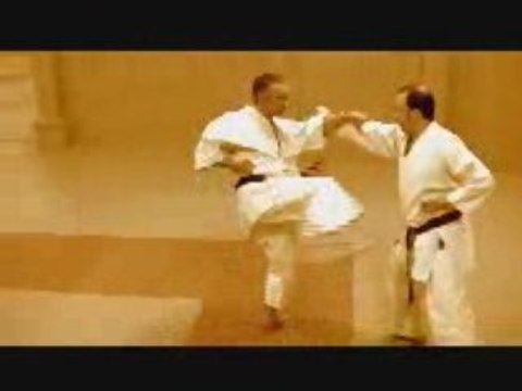 Heian godan - Kata - Bunkai