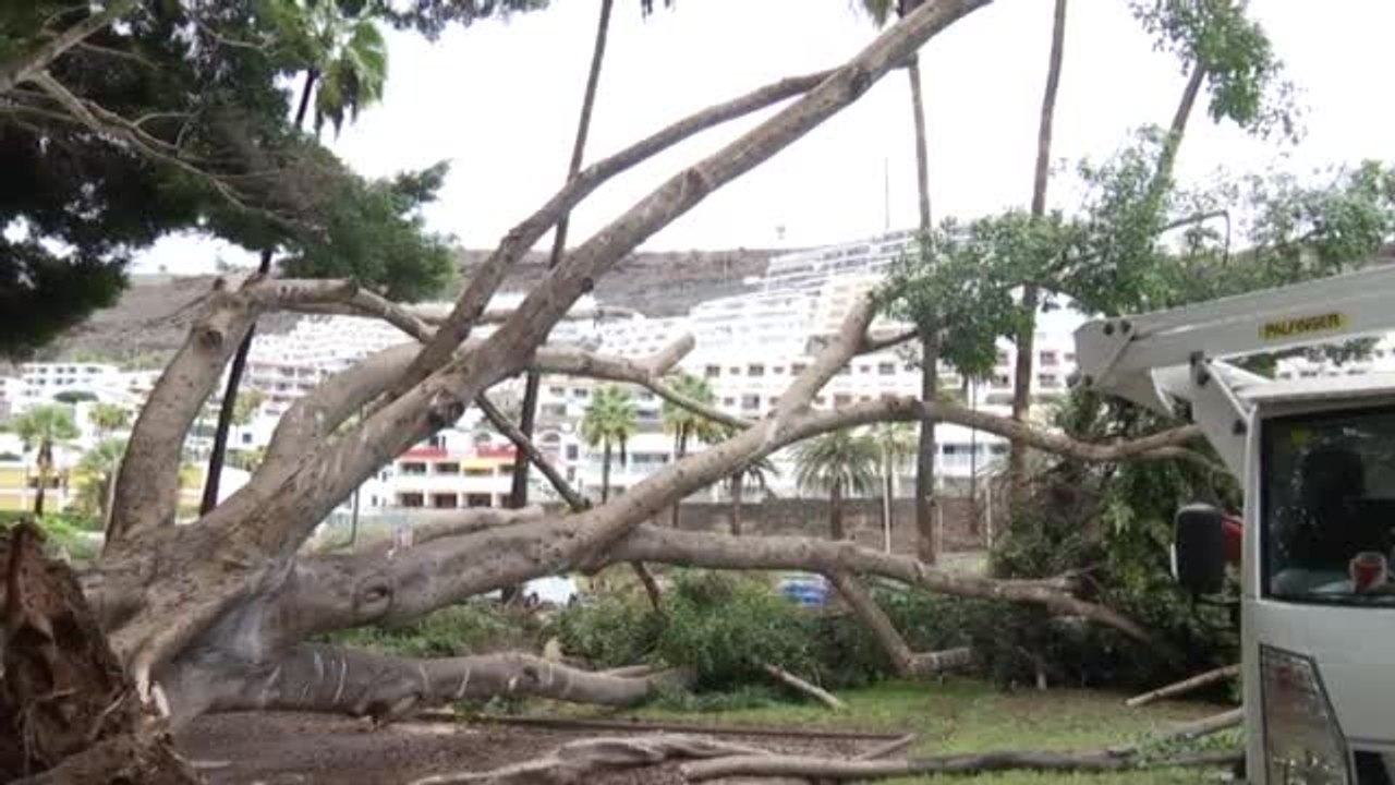 Canarias se recupera poco a poco del paso de "Hermine"