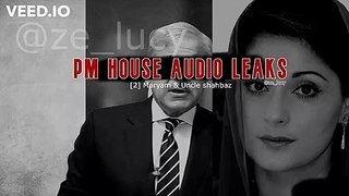 PM House leaked audio 3