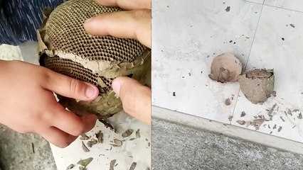 Girl runs away in fear after suddenly encountering a swarm of insects